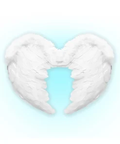 WIDMANN Ailes D'ange En Plumes Blanches 50 X 40 Cm