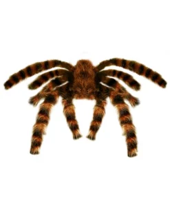 WIDMANN Araignée Velue Géante 65 Cm Pour Halloween