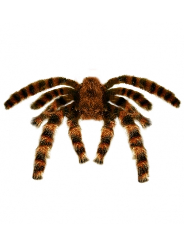 WIDMANN Araignée Velue Géante 65 Cm Pour Halloween 1 WIDMANN Araignée Velue Géante 65 Cm Pour Halloween