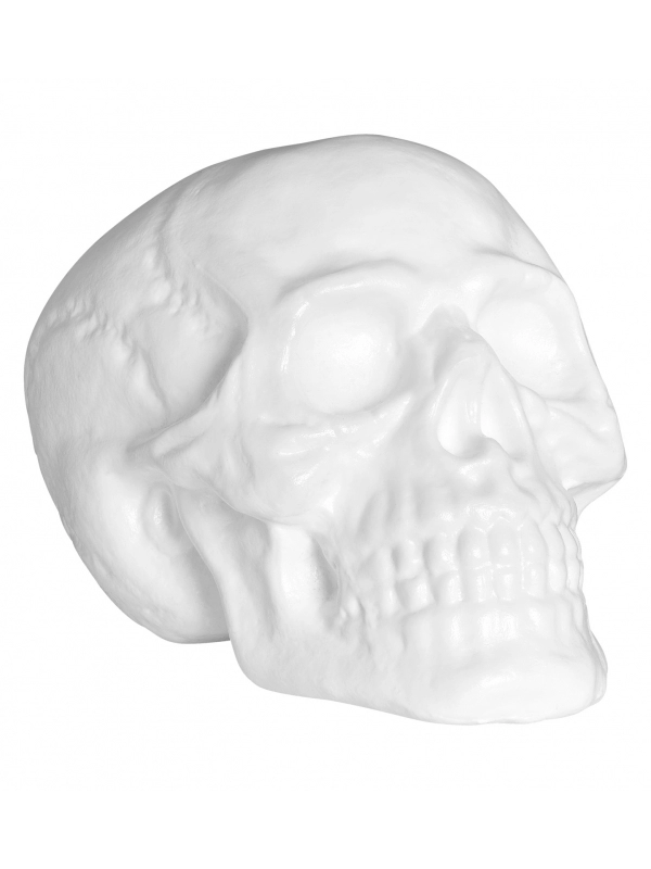 WIDMANN Crane Avec Lumière Kaléidoscopique Et Musique Effrayante 2 WIDMANN Crane Avec Lumière Kaléidoscopique Et Musique Effrayante – Image 2