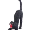 Méchant Chat Noir - Déco Halloween