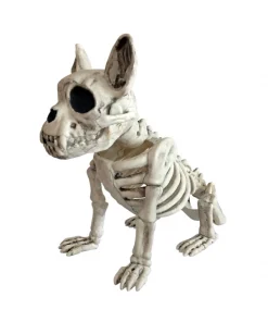 Squelette Chien 28 Cm