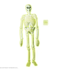 WIDMANN Squelette De Laboratoire Phosphorescent Dans Le Noir - 1,5 M