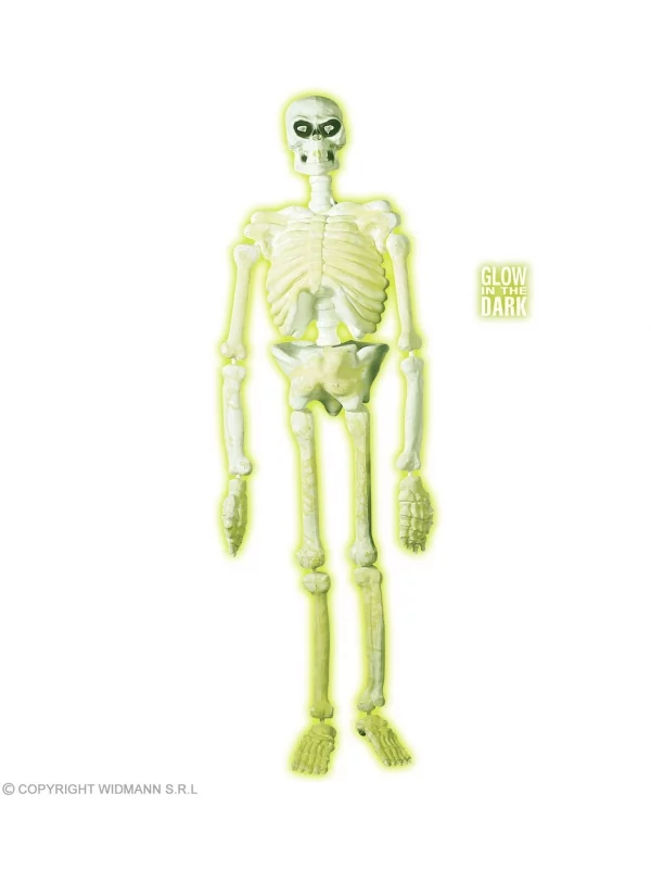 WIDMANN Squelette De Laboratoire Phosphorescent Dans Le Noir - 1,5 M 1 WIDMANN Squelette De Laboratoire Phosphorescent Dans Le Noir - 1,5 M